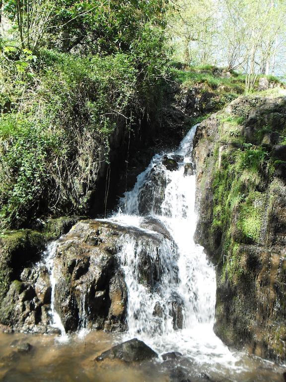 La Chevallerie B&B Isigny-le-Buat Dış mekan fotoğraf