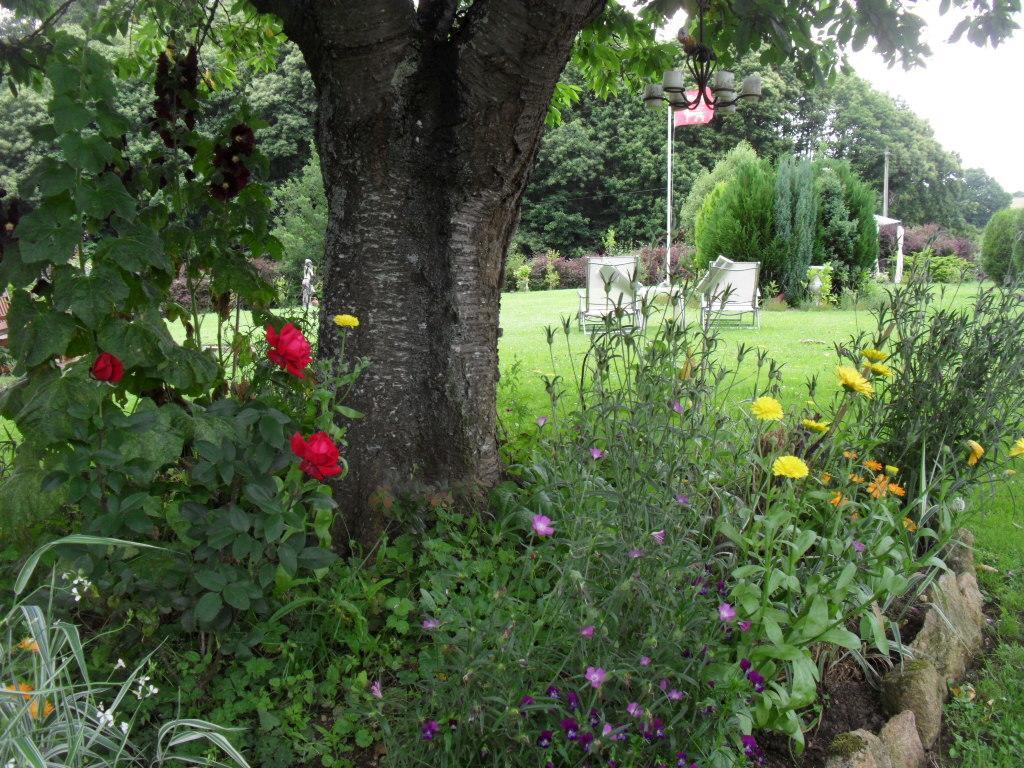 La Chevallerie B&B Isigny-le-Buat Dış mekan fotoğraf