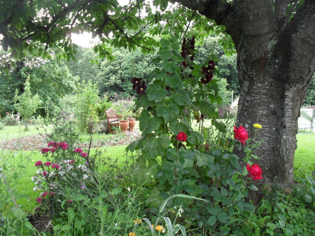 La Chevallerie B&B Isigny-le-Buat Dış mekan fotoğraf