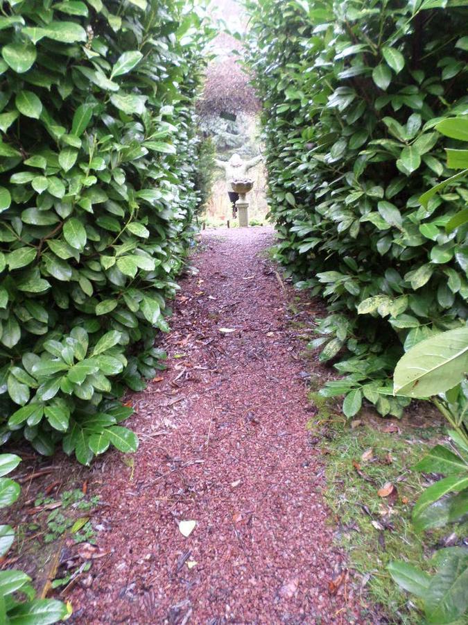 La Chevallerie B&B Isigny-le-Buat Dış mekan fotoğraf