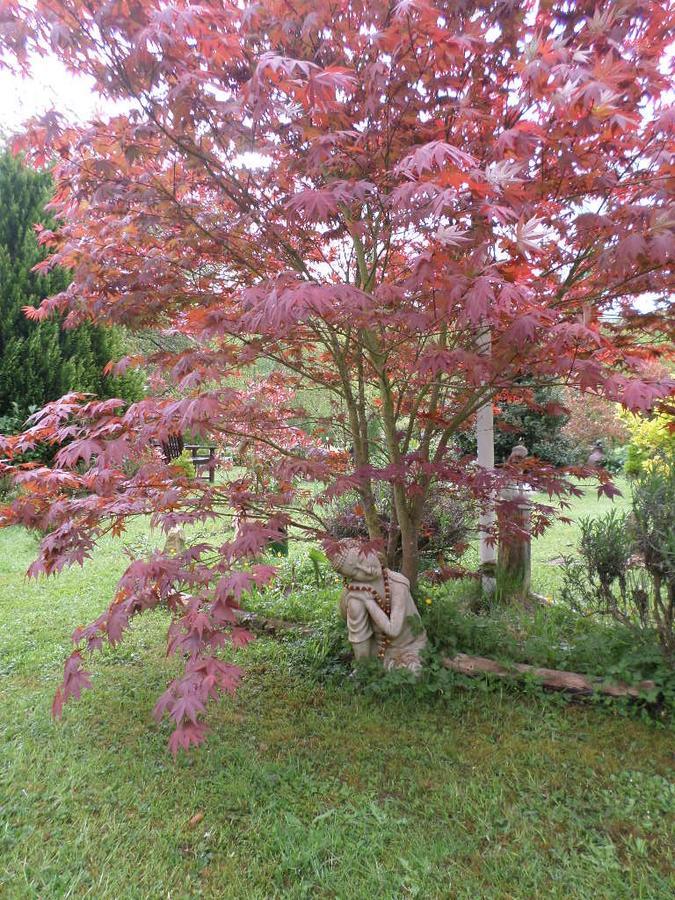 La Chevallerie B&B Isigny-le-Buat Dış mekan fotoğraf